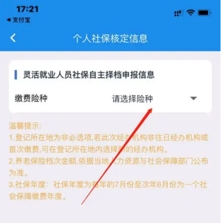 楚税通灵活就业哪里办理